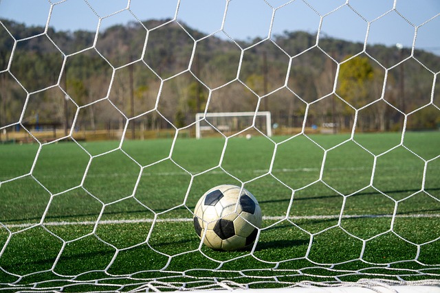 家乡的球迷 家乡的球迷