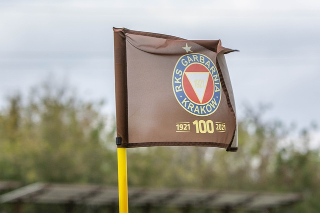 市长提出了 市长提出了