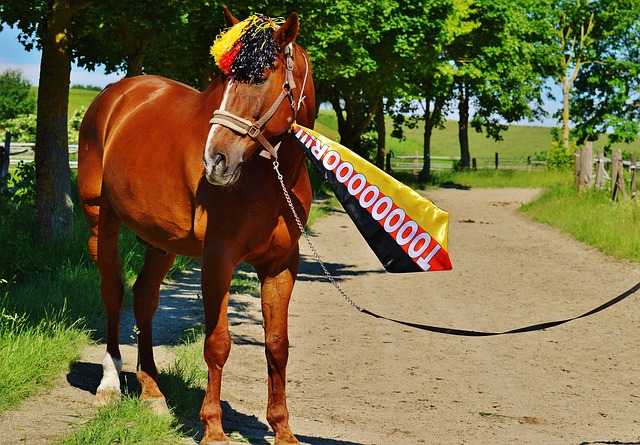 中国队在亚 中国队在亚