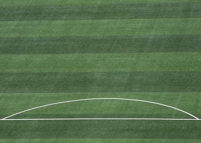 入球队历史 入球队历史