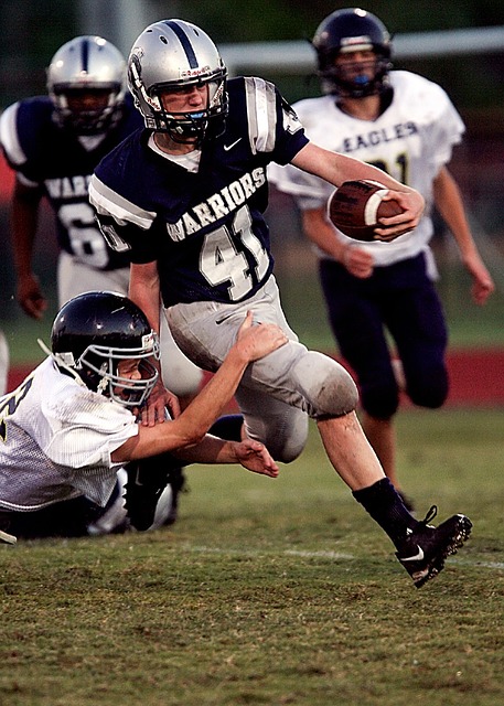 太阳不敌雄 太阳不敌雄