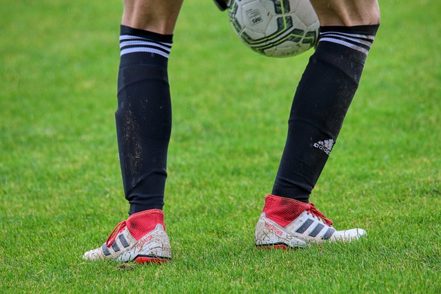 多变著称 多变著称