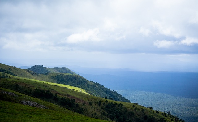 或许更是对 或许更是对