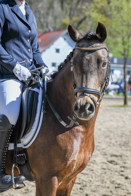 新疆足球有希望了 中国足球会更有希望.