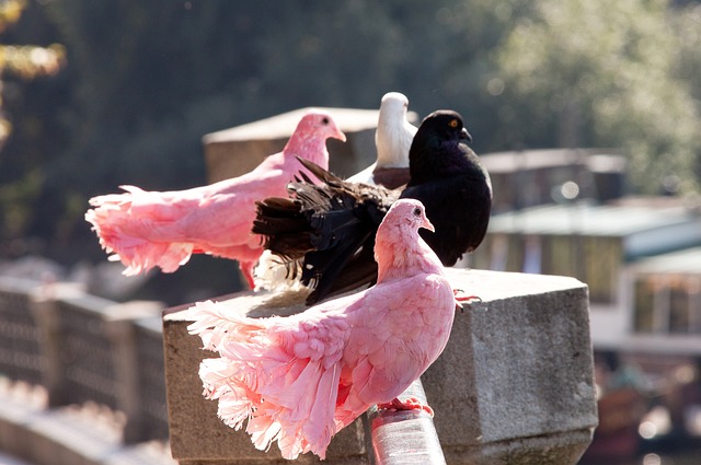 赛中屡屡击 赛中屡屡击