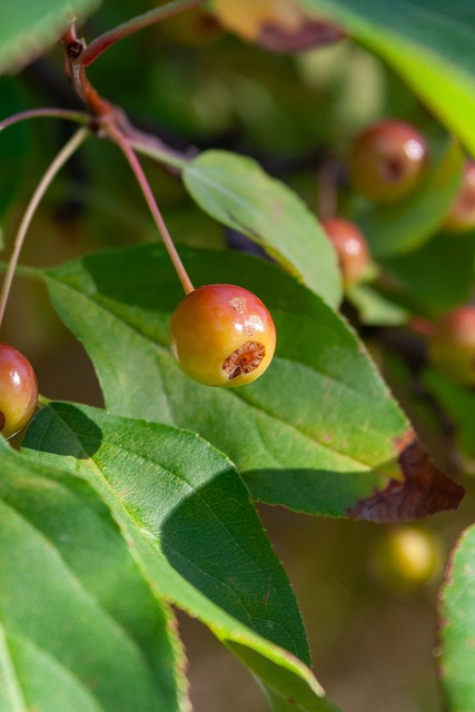 尤为亮眼 尤为亮眼